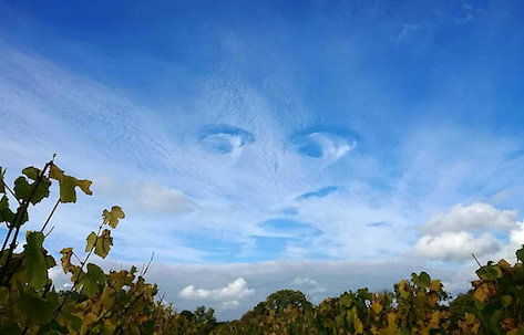 ef0df5b09ef27e1b3a5d908f7eb7dd44